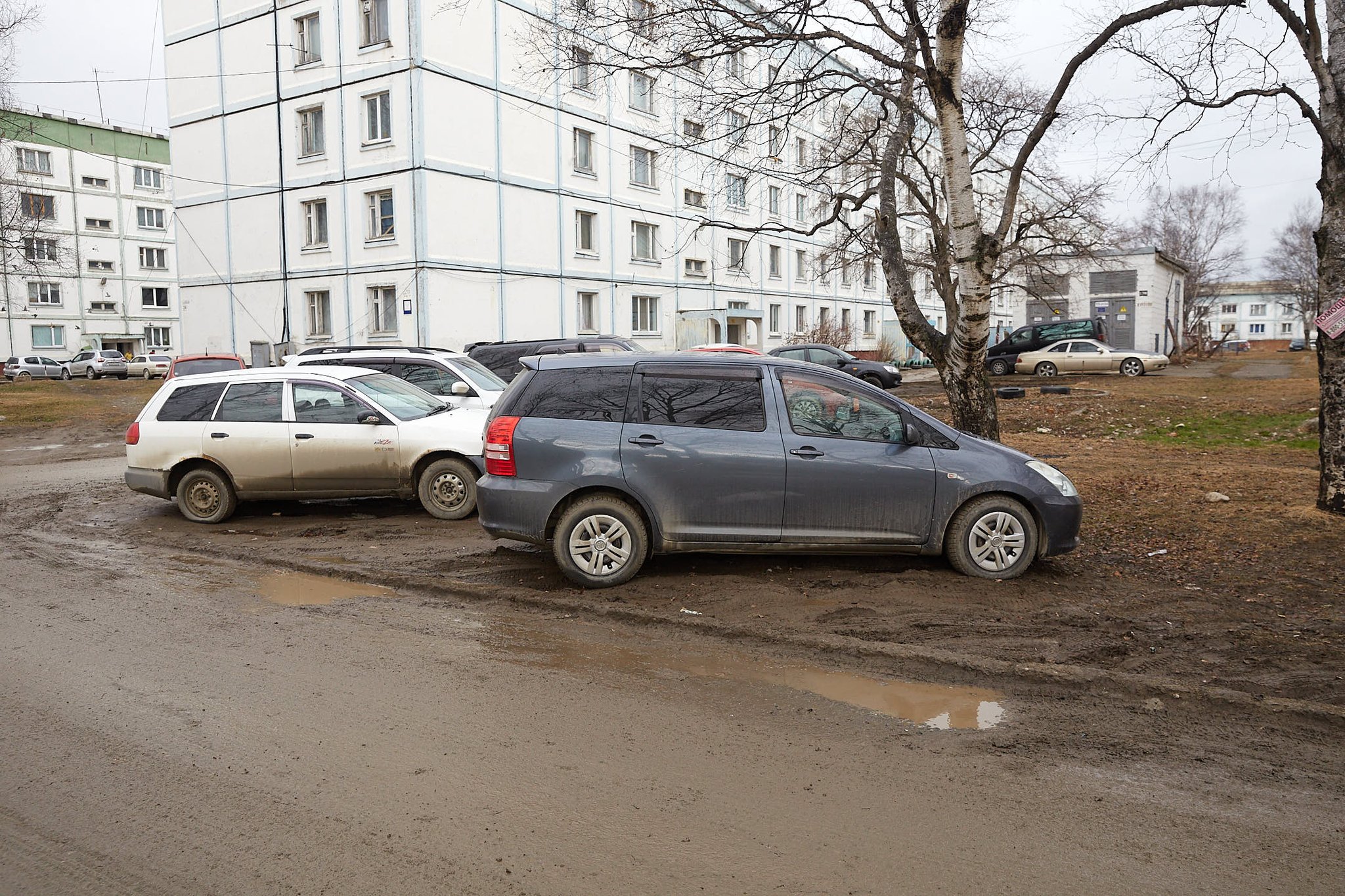 Парковка на газоне москва куда отправить