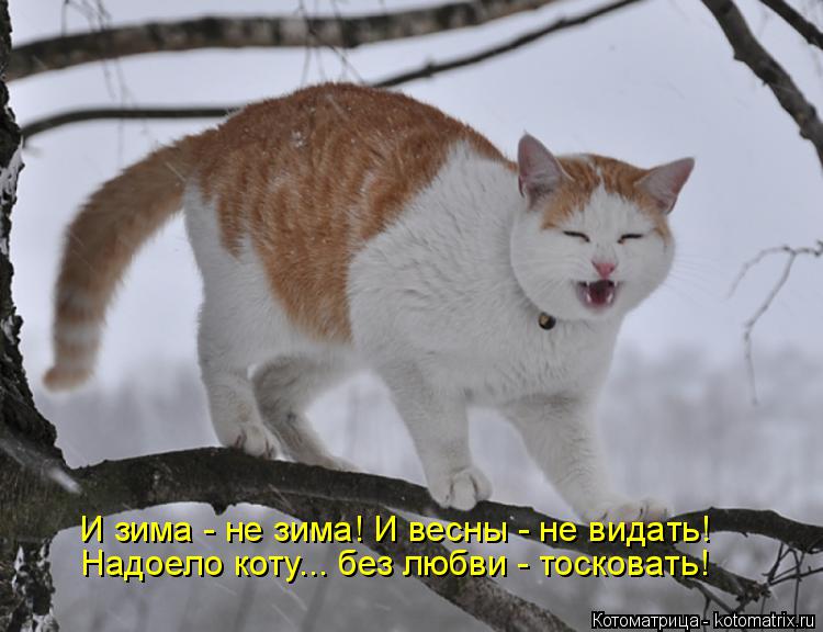Зима не отступает картинки