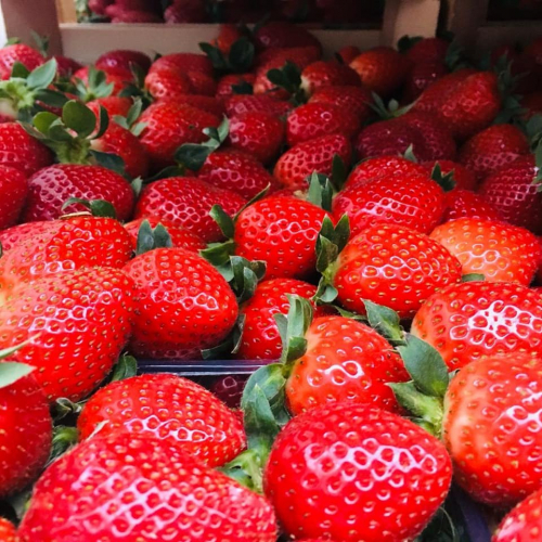 Купить Свежую Клубнику В Волгограде В Магните