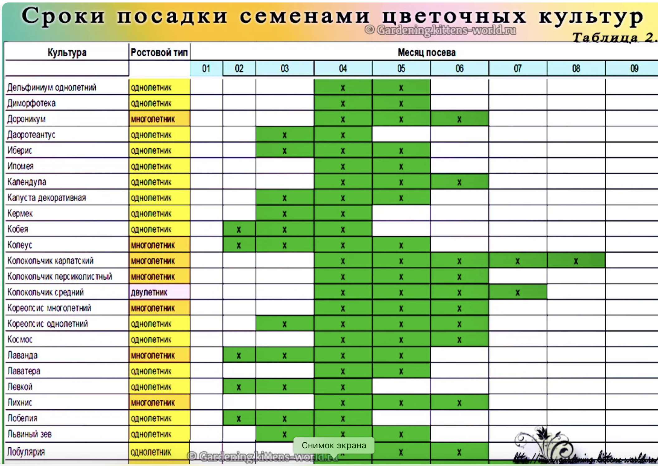 Схема подкормки петунии