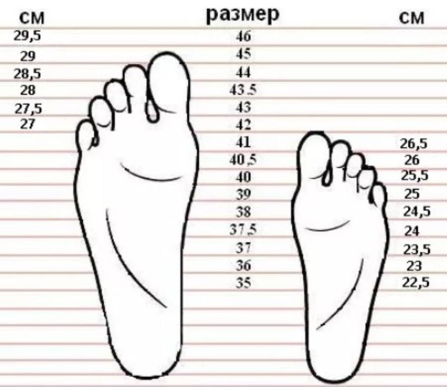 Площадь подошвы ноги. Размер стельки 43 размера обуви. Размер стопы. Размер ноги и стопы. Размер стопы и обуви.