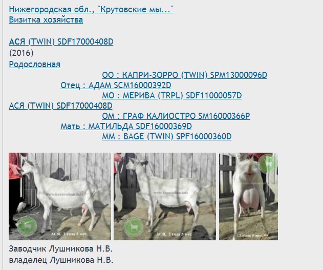 Купить Козу В Брянской Области