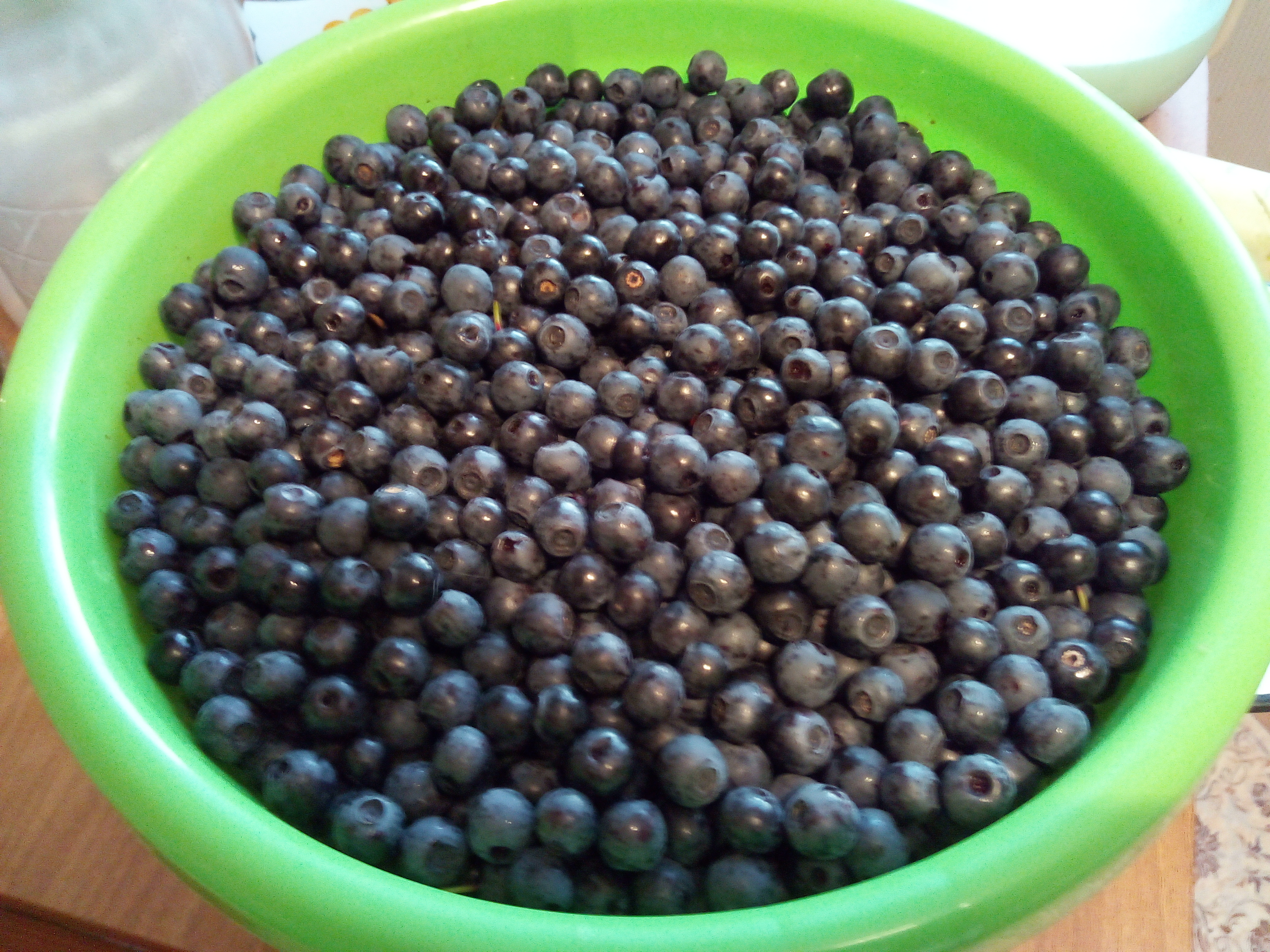 Черника кавказская. Литр черники. Ягода как черника только длинная. Декор mosplitka черника 10х10. Вес черника кг и литр.