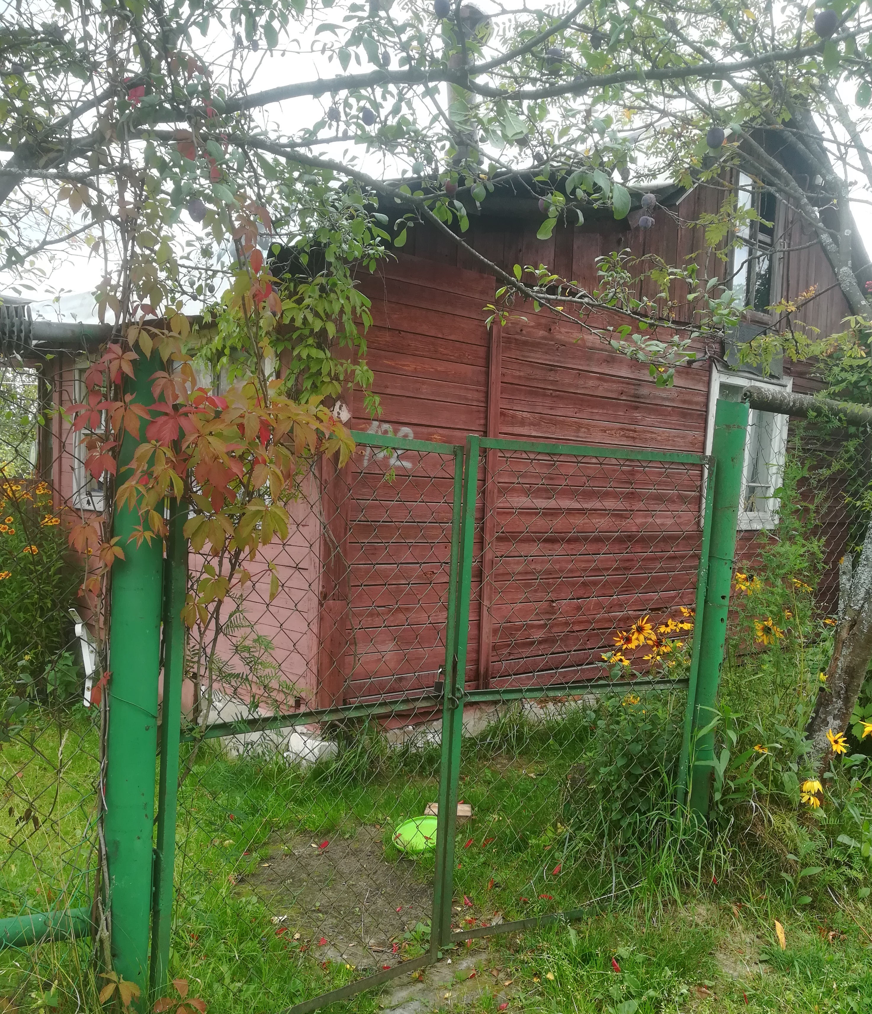 Дача на два дня