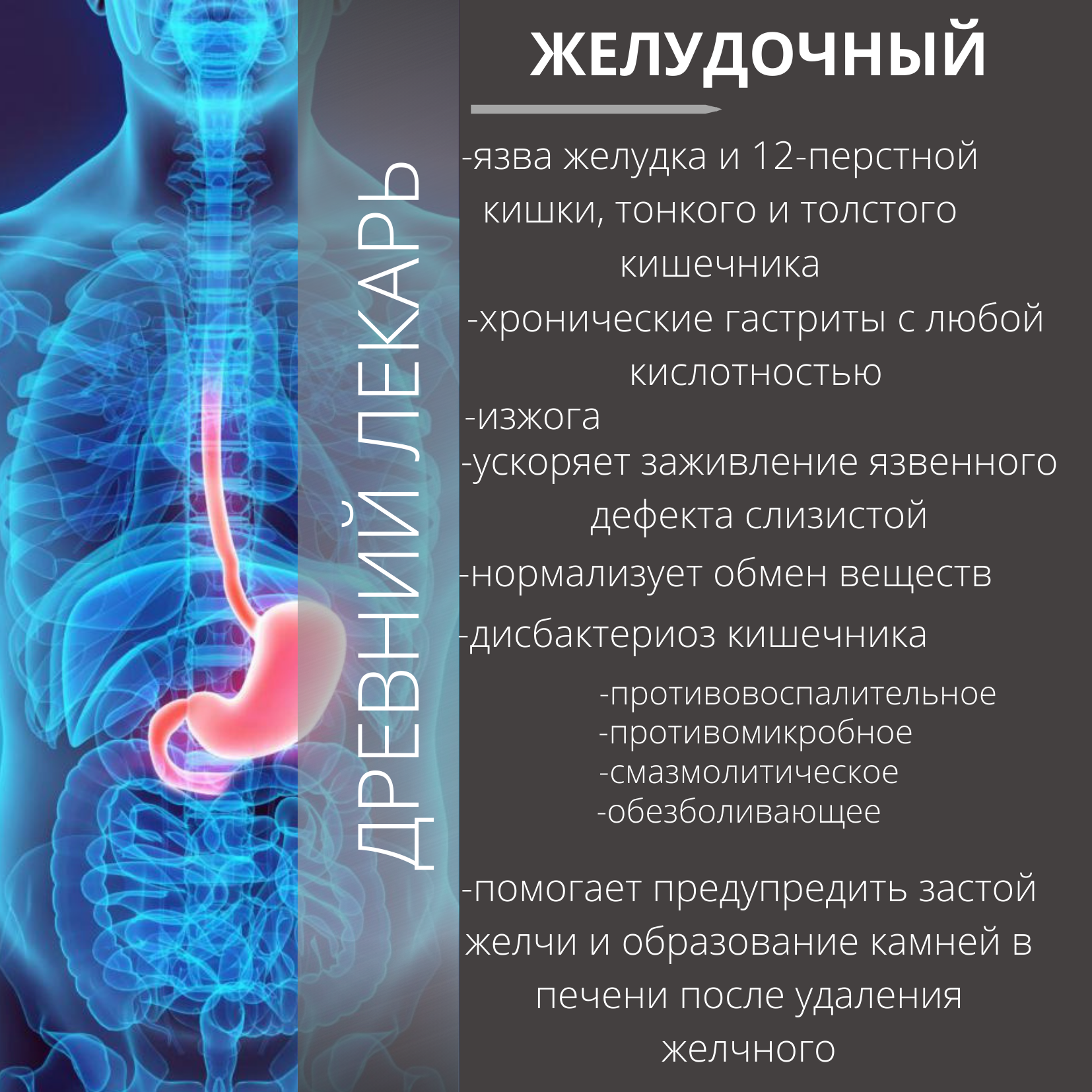 Чтоб желудок заработал. Препараты для ЖКТ. Лекарство для желудка и кишечника