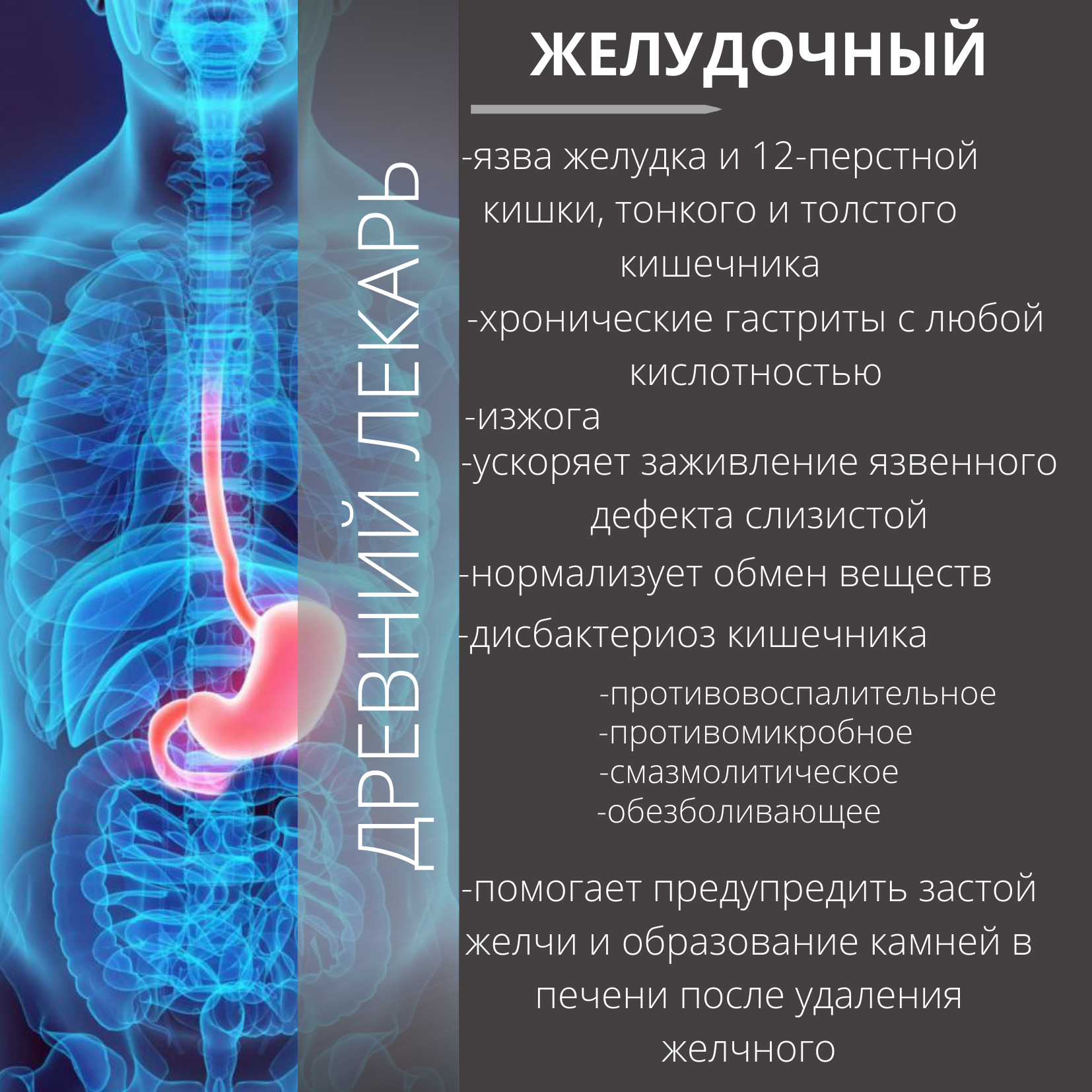 Постоянная тяжесть в желудке причины. Препараты для ЖКТ. Лекарство для желудка и кишечника.