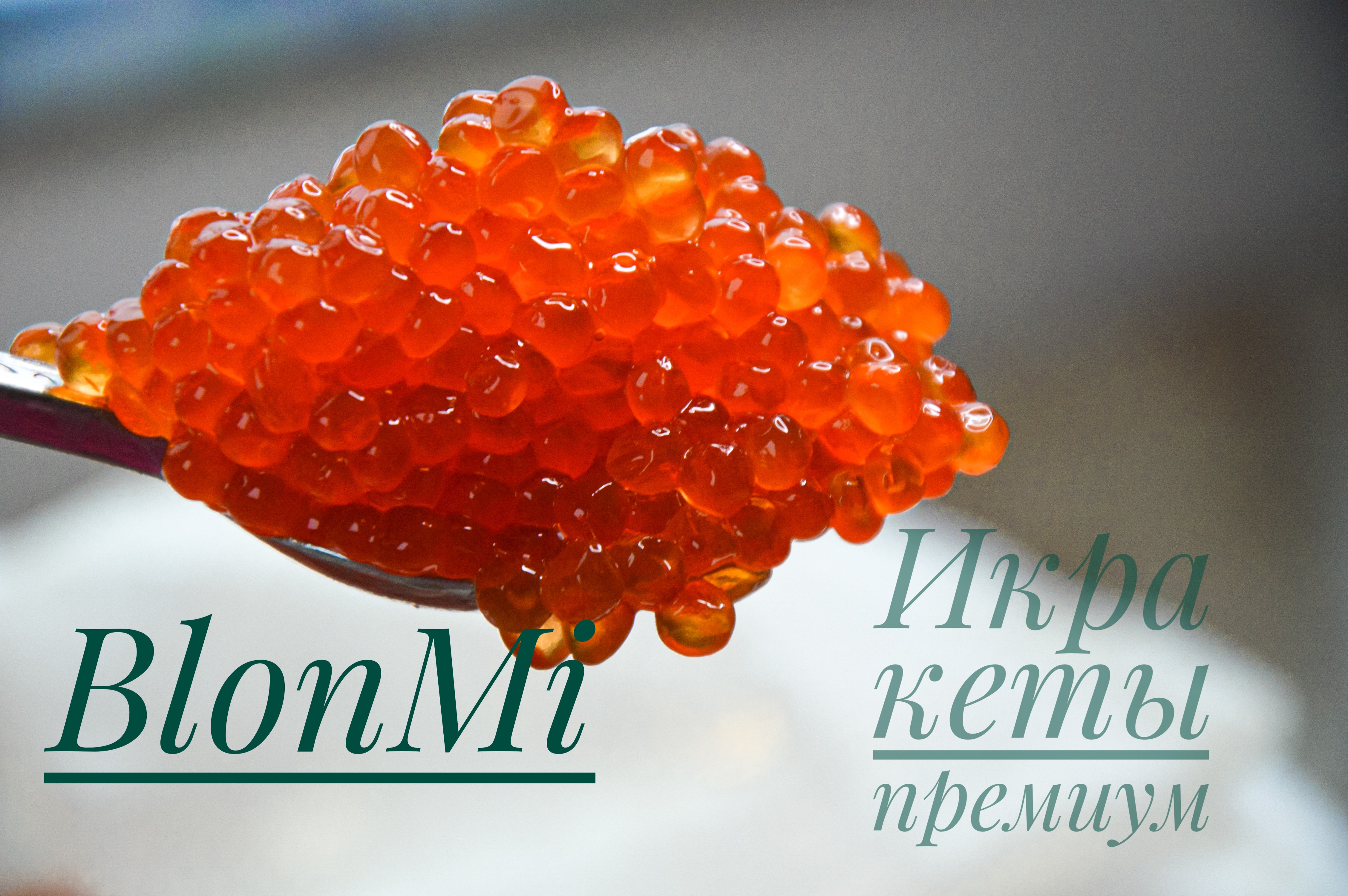 Икра кеты горчаков. Листовка красная икра. Красная икра лого. Красная икра рекламный Постер. Икра и девушка плакат.