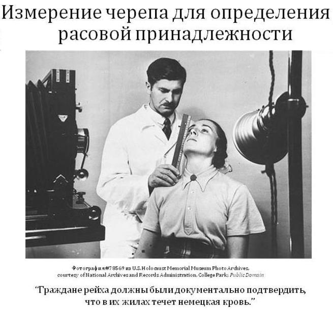 252033471-izmerenij_cerepa_dlj_opredelen