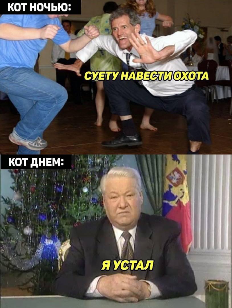 Навел суету видео. Навел суету видео