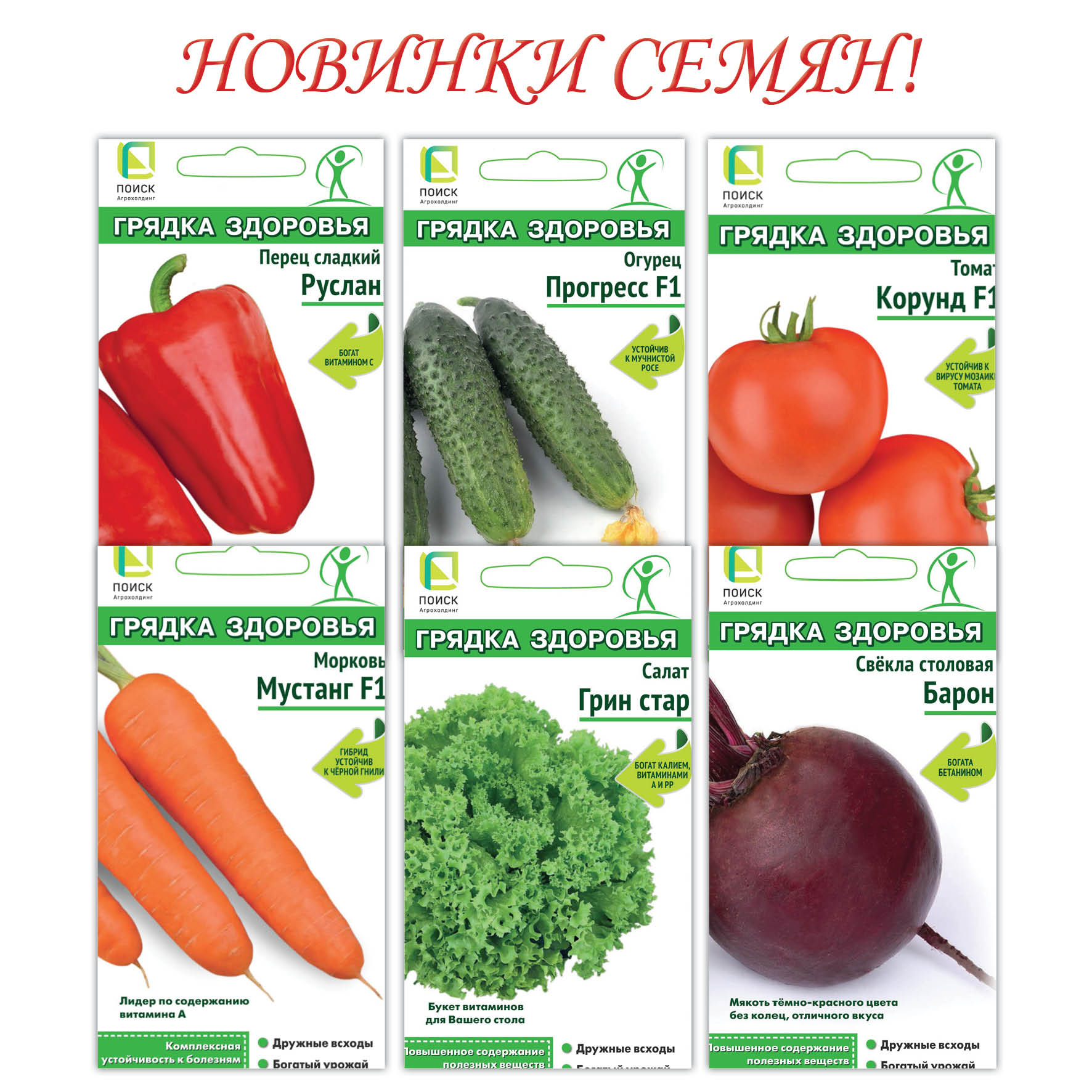 Партнер Семена Официальный Сайт Купить