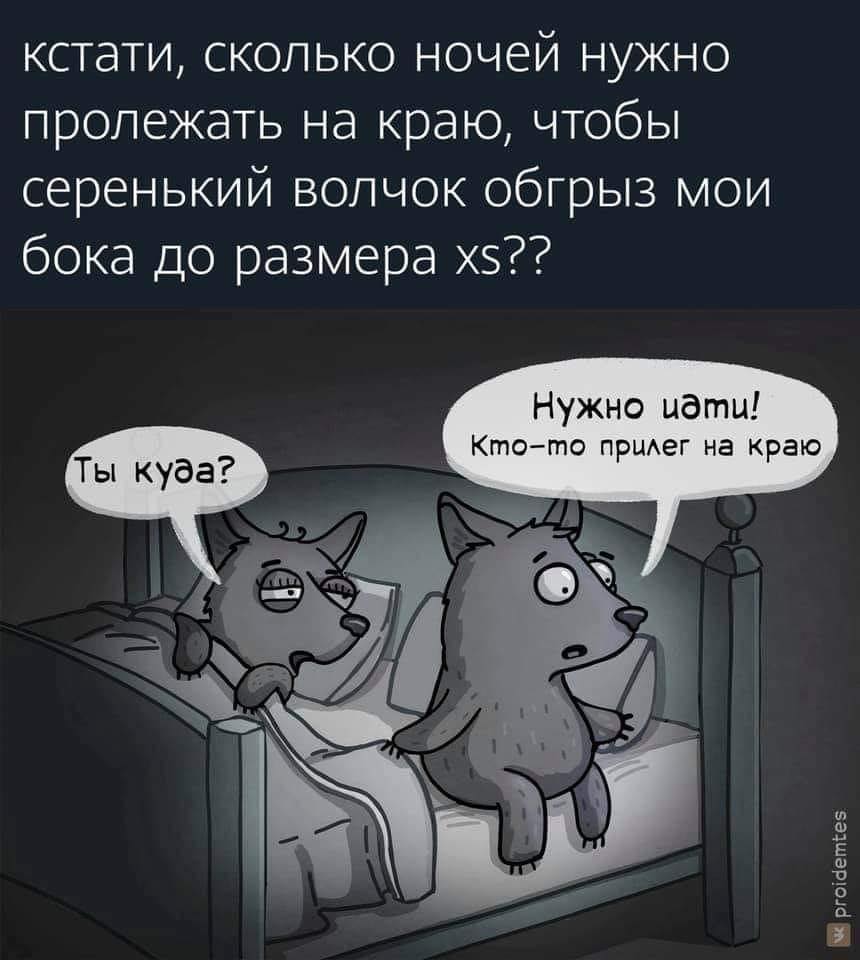 Волчок Серый Бочок Картинка