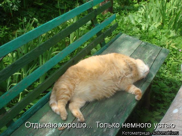 Дайте отдохнуть