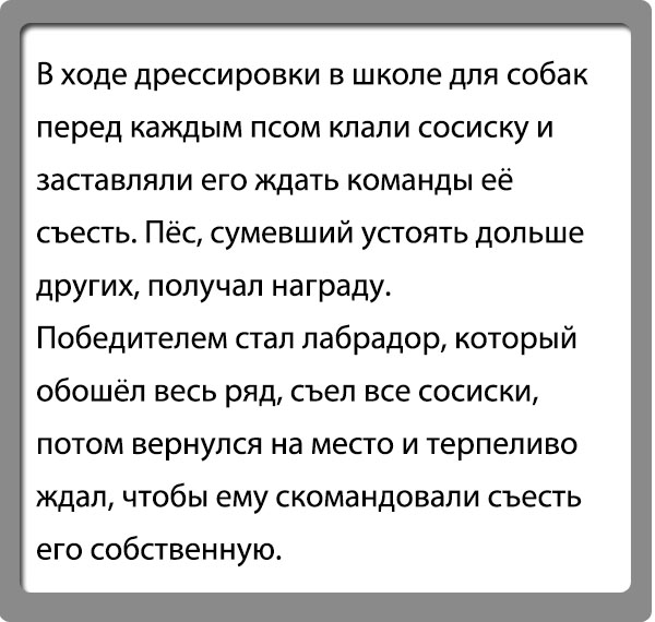 а собачка наша анекдот
