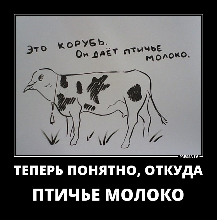 Птичье молоко мемы. Птичье молоко мем. Птичье молоко мем. Птичье молоко птичка. Юмор прикол птичье молоко.