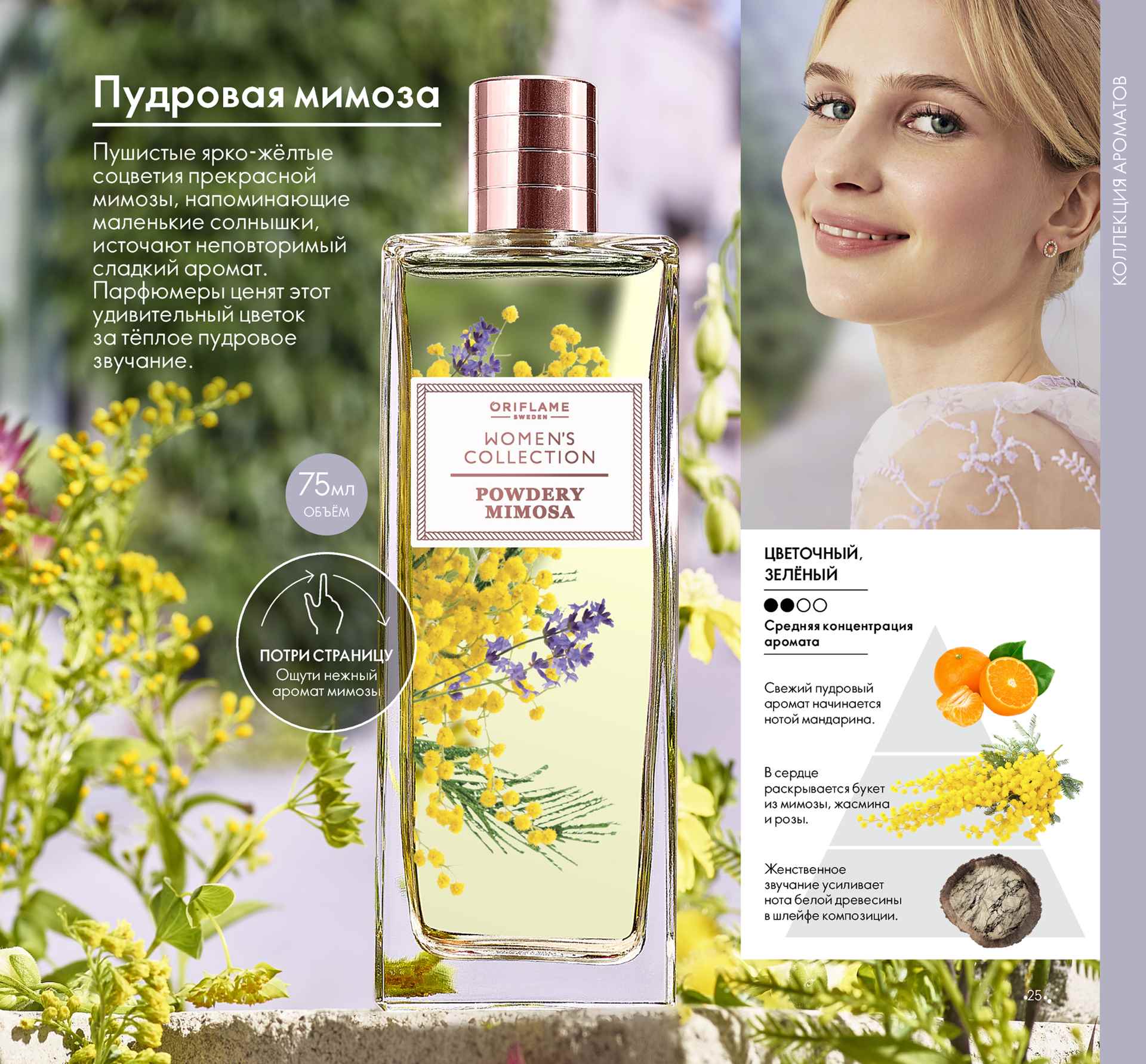 Аромат мимозы