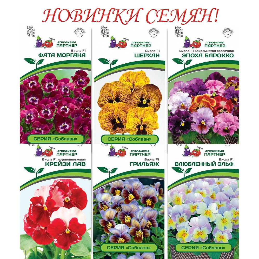 Агрофирма Купить Семена Цветов