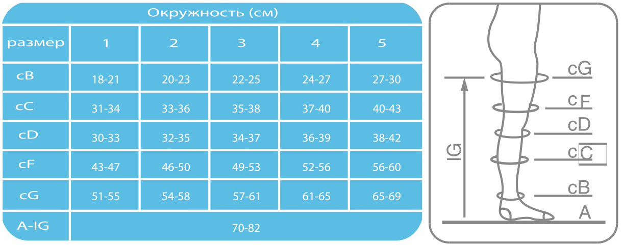 3 размер компрессионных чулок. Чулки антиэмболические Ergoforma Размерная сетка. Чулки антиэмболические 1 класс Ergoforma 4 Размерная сетка. Чулки Эргоформа антиэмболические Размерная сетка. Чулки антиэмболические Ergoforma 217 Размерная сетка 1 класс.