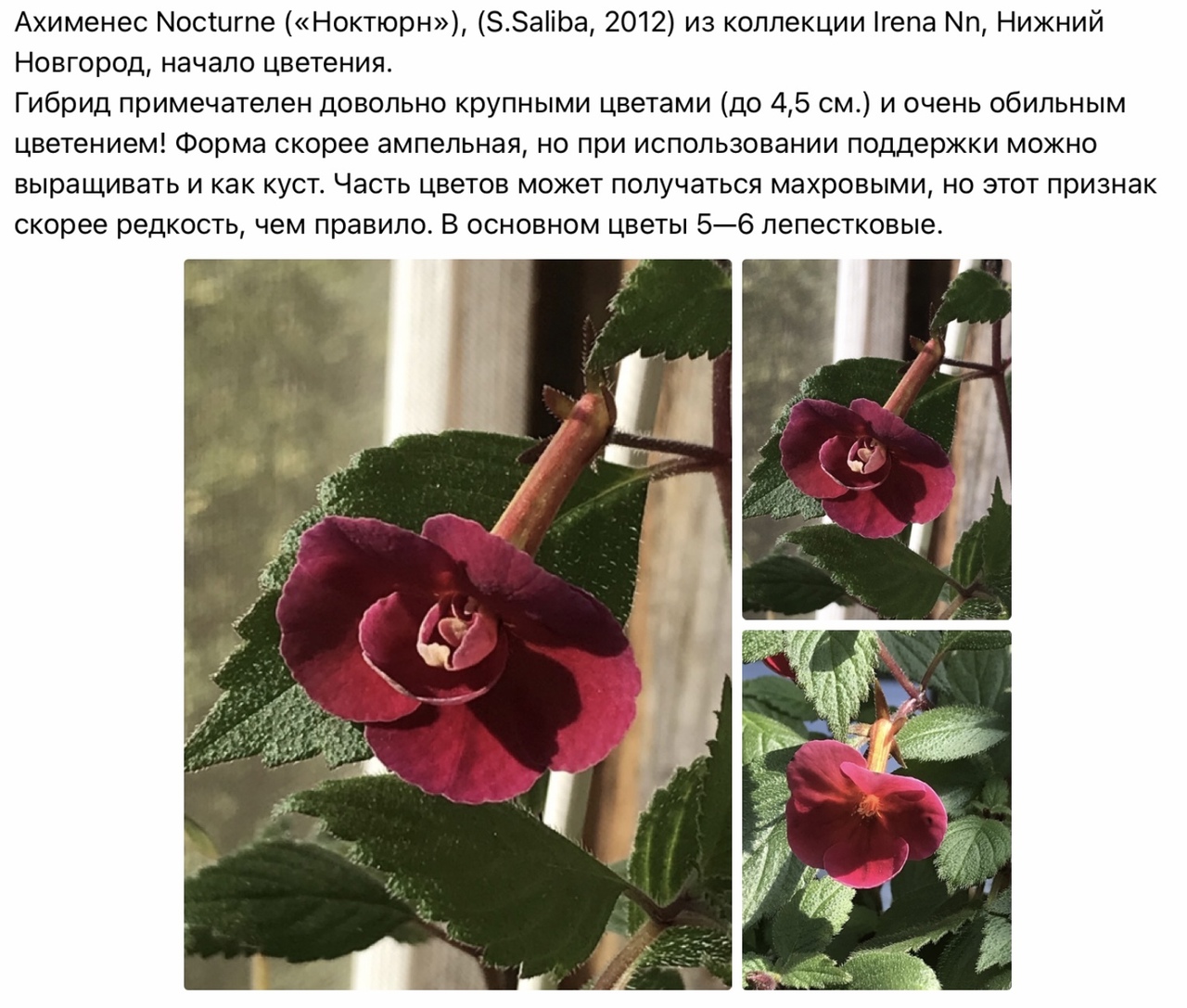 Когда ахименесы просыпаются