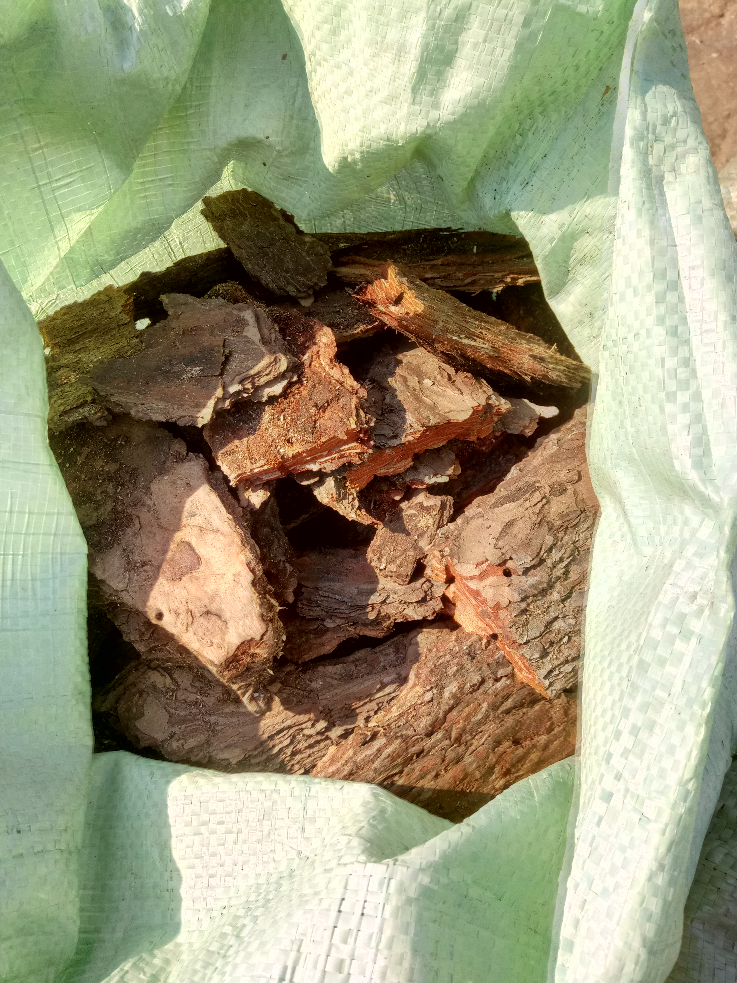 Куда продать сосновую кору. Кора сосны 60л. Куда продать сосновую кору. Порошок сосновой коры. Куда продать сосновую кору.