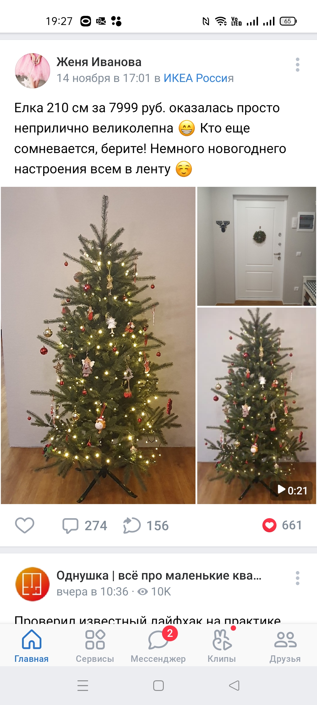 Первый день в москве прикол. Опять елки. Опять елки. Кошка под елкой. Опять елки.