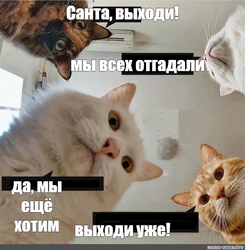 Фото Кошек Наташа Вставай