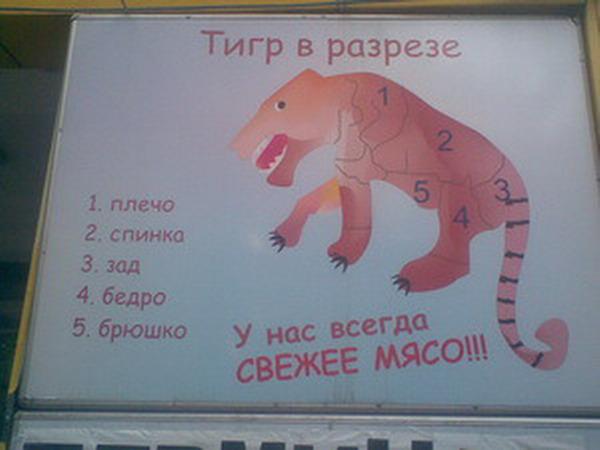 Тигр в разрезе полосатый рейс картинка