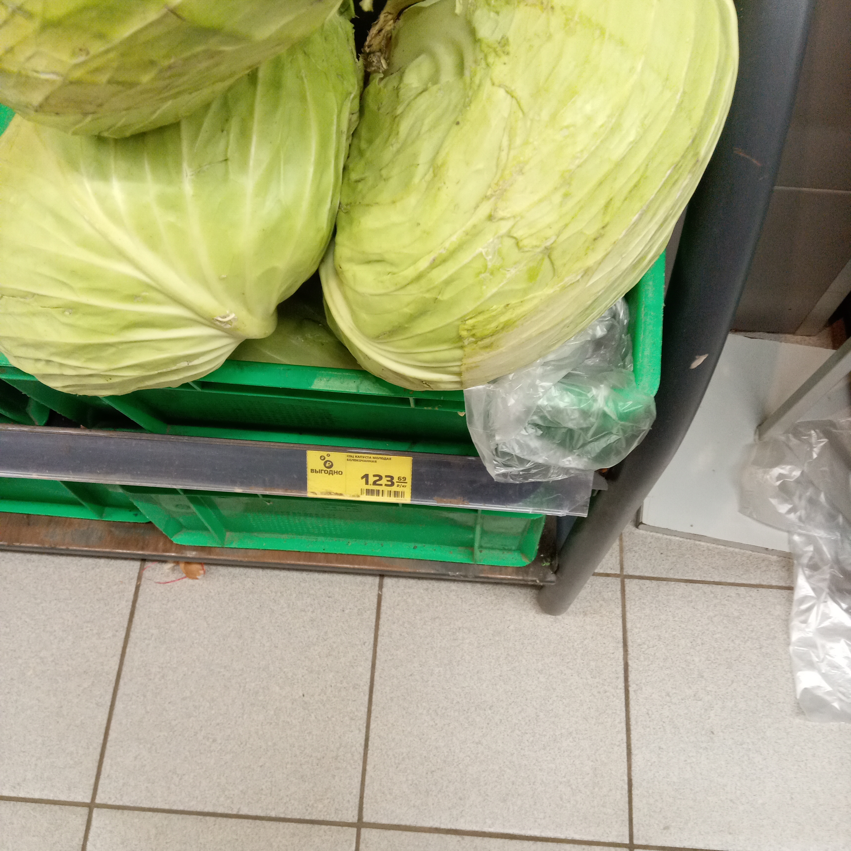 Продавец капусты на базаре. Рублей за килограмм. Женщина с ведром капусты на рынке. 1000 рублей за кг