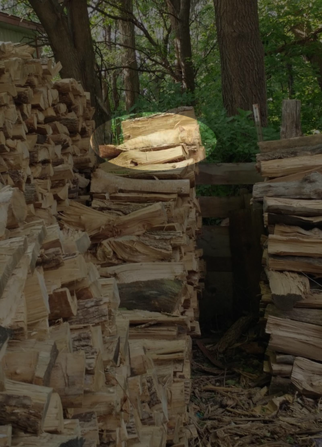 Найдите кота на картинке. Найди кошку. Где найти кота. Найди кота на картинке. Игра найди кота.