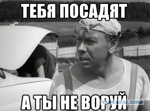 Тебя посадят а ты не воруй картинка