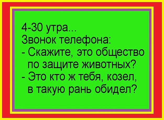 3 утра звонок. Анекдот это общество защиты животных. Общество защиты животных. Алло это общество защиты животных. Общество защиты животных прикол.