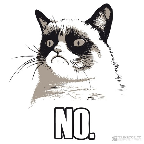 Кот нет. Кот нет. No haha мем. Кот говорит нет. Грустный кот мем.