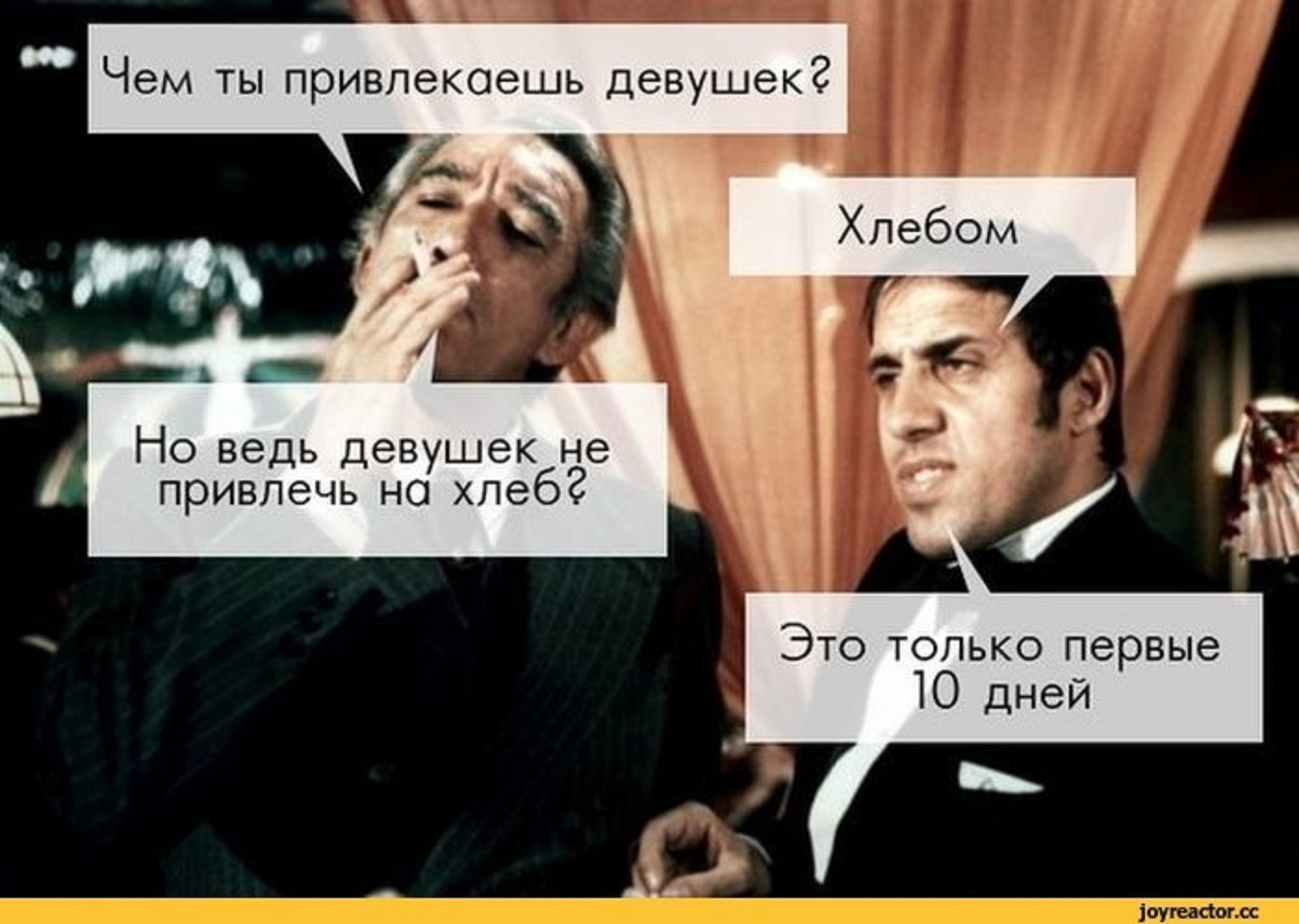 Мемы укрощение строптивого