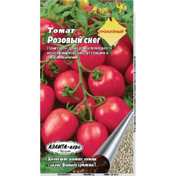 томат сорта розовый снег. томат розовый снег. томат розовый снег семена. томат индиго роуз. томат розовый изюмный.