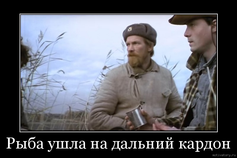 Теперь вся утка наша картинки