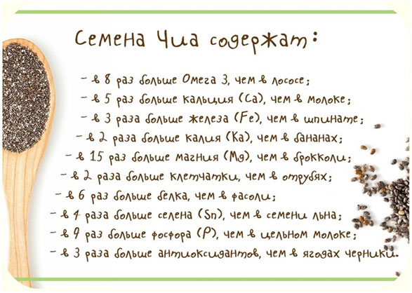 Чиа растение фото где растет как выглядит