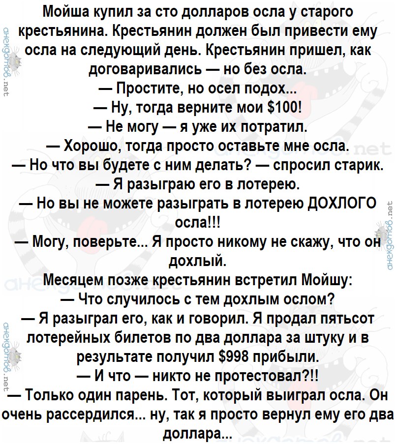 Анекдоты про мертвых. Анекдот про осла. Анекдот про еврея и дохлого осла. Анекдот про ослика. Притча про мертвого осла