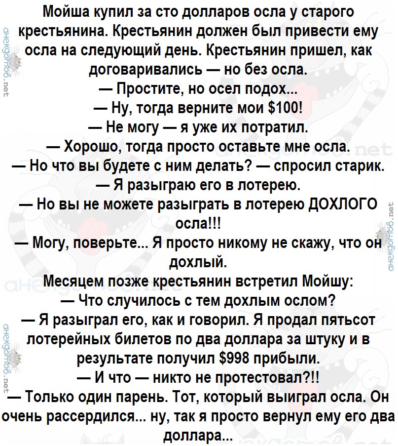 Анекдот про лотерейный билет. Анекдот про осла. Анекдот про еврея и дохлого осла. Анекдот про ослика. Притча про мертвого осла.