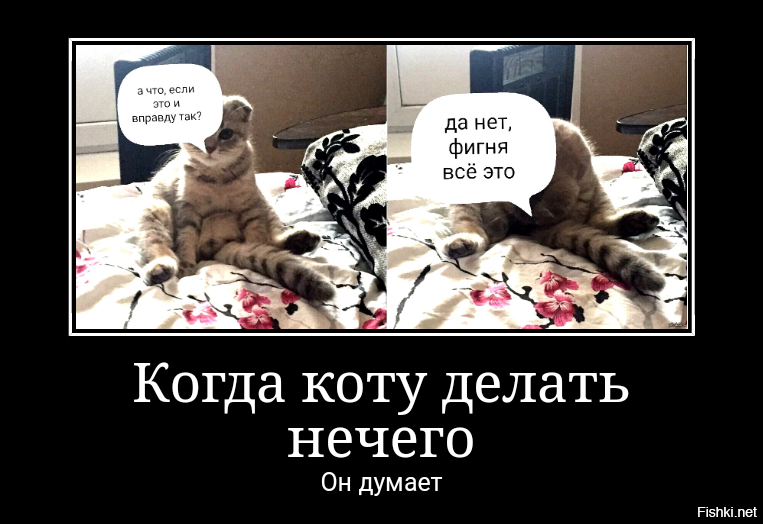 Картинки Что Делаешь Чем Занимаешься