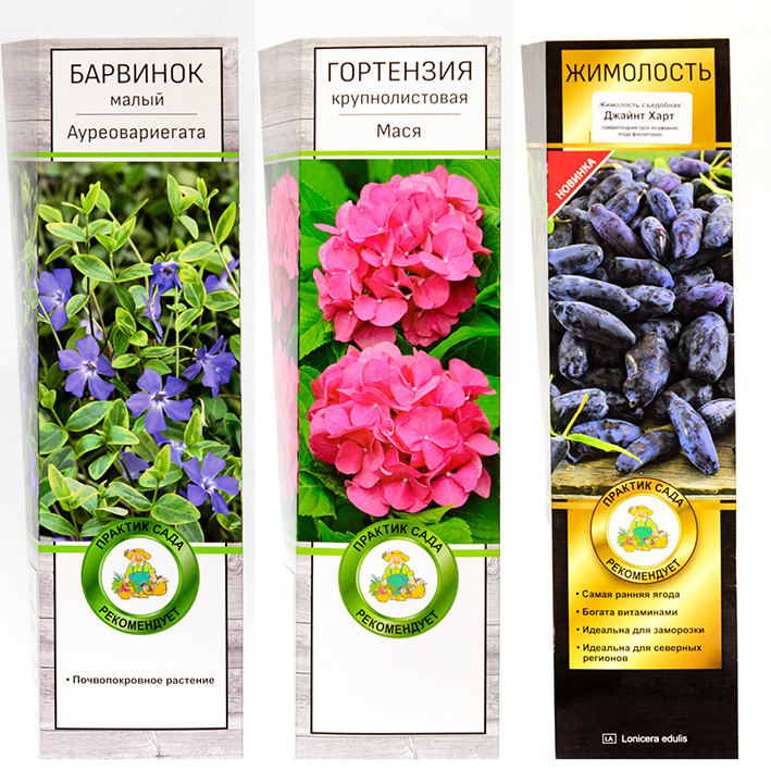 Раздача заказов. Супер-Мега Большой Сбор 149 + Саженцы 10. - обсуждение ...