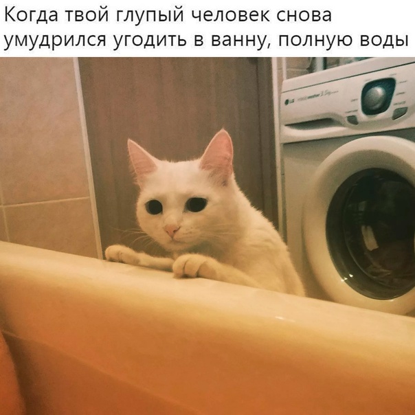 https://cstor.nn2.ru/forum/data/forum/images/2025-09/265573671-cyoozccwdra.jpg