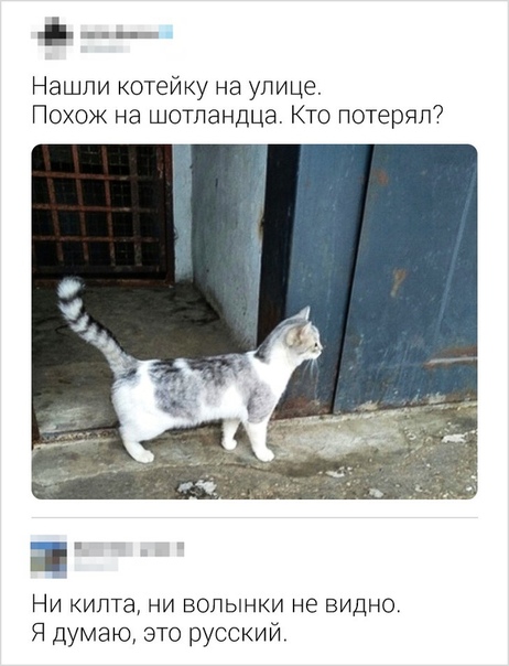 https://cstor.nn2.ru/forum/data/forum/images/2025-09/265581944-upfy2nsrupe.jpg