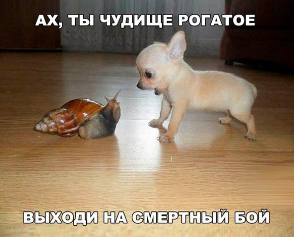 https://cstor.nn2.ru/forum/data/forum/images/2025-09/265592937-1757188095.jpg