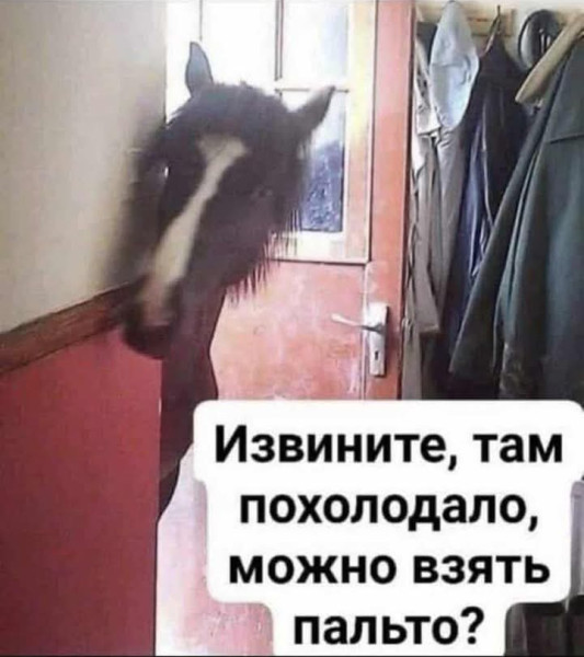 https://cstor.nn2.ru/forum/data/forum/images/2025-09/265619244-1757752592.jpg