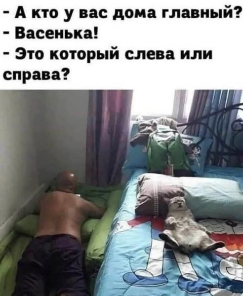 https://cstor.nn2.ru/forum/data/forum/images/2025-09/265619245-1757752435.jpg