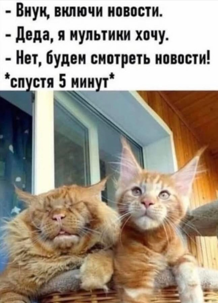 https://cstor.nn2.ru/forum/data/forum/images/2025-09/265642980-1758361610.jpg