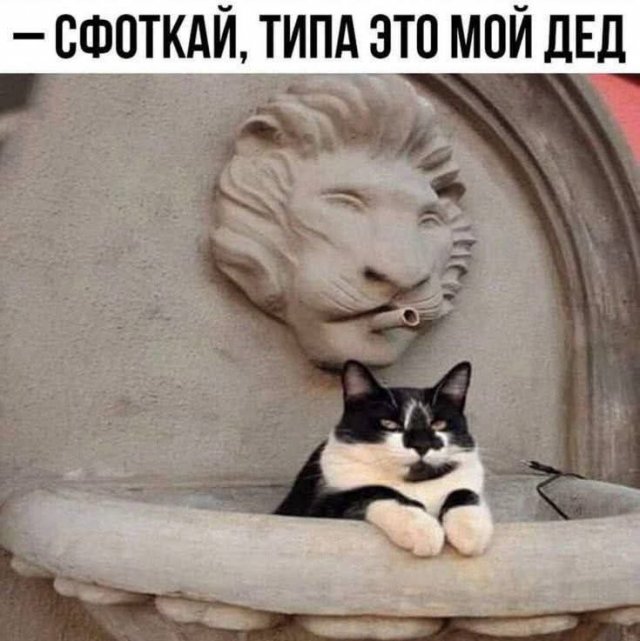 https://cstor.nn2.ru/forum/data/forum/images/2025-10/265689879-262461_6_trinixy_ru.jpg