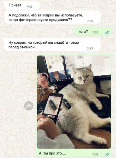 https://cstor.nn2.ru/forum/data/forum/images/2025-10/265689890-kovrik-ne-dovole_29973.jpg