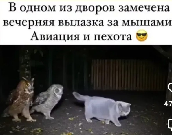 https://cstor.nn2.ru/forum/data/forum/images/2025-10/265707293-screenot_9.jpg