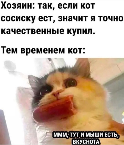 https://cstor.nn2.ru/forum/data/forum/images/2025-10/265757950-1761139427.jpg
