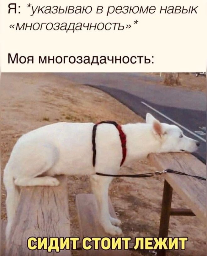 https://cstor.nn2.ru/forum/data/forum/images/2025-12/265917167-1764493740_pressa_tv_memes-01.jpg